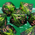 Green Resin Sharp Edge Dice Set – Handmade Polyhedral Dice for D&D, Pathfinder & RPGs Gamers Guild
