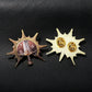 Baldur’s Gate 3 Cosplay Badge Pins – Unisex Metal Brooches for Barbarian, Fighter, Warlock & RPG Fans Gamers Guild